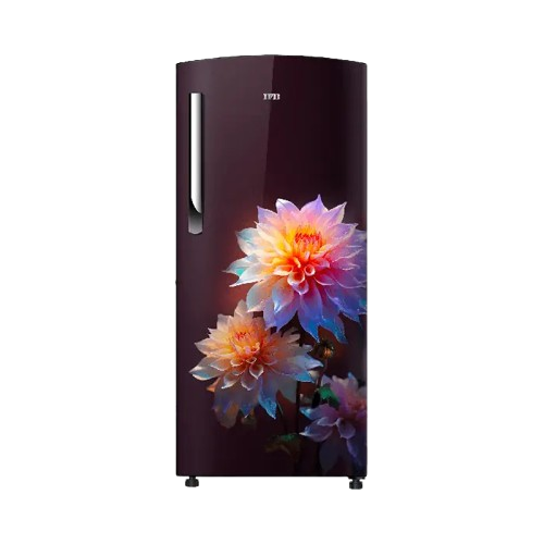 Shop IFBDC-2324IRN Direct - Cool Refrigerator 206 L | 4 Star