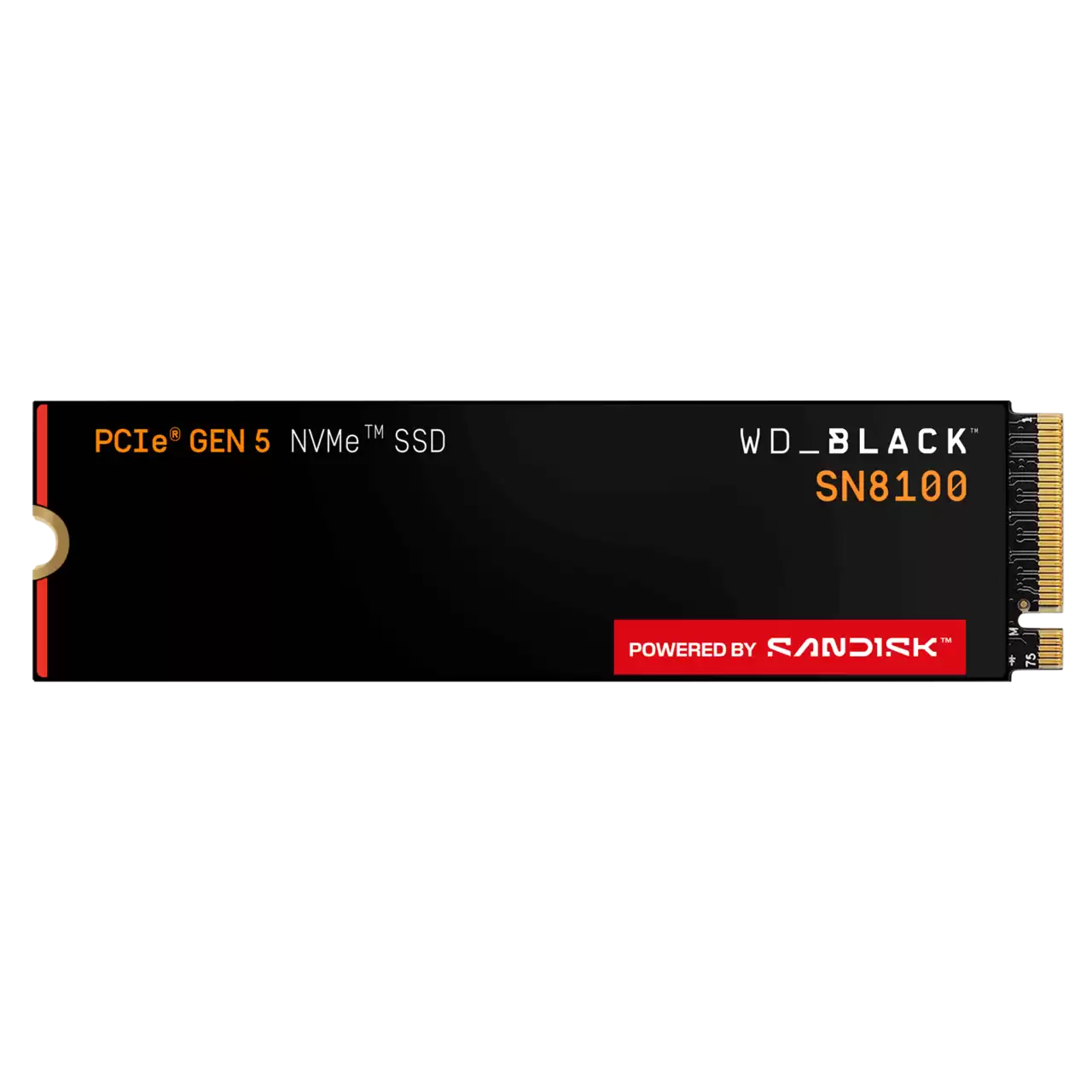 Western Digital Black SN8100 NVMe SSD - 1TB Without Heatsink - WDS100T1X0M-00CMT0