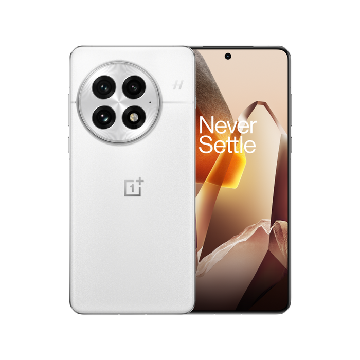 OnePlus 13 Arctic Dawn