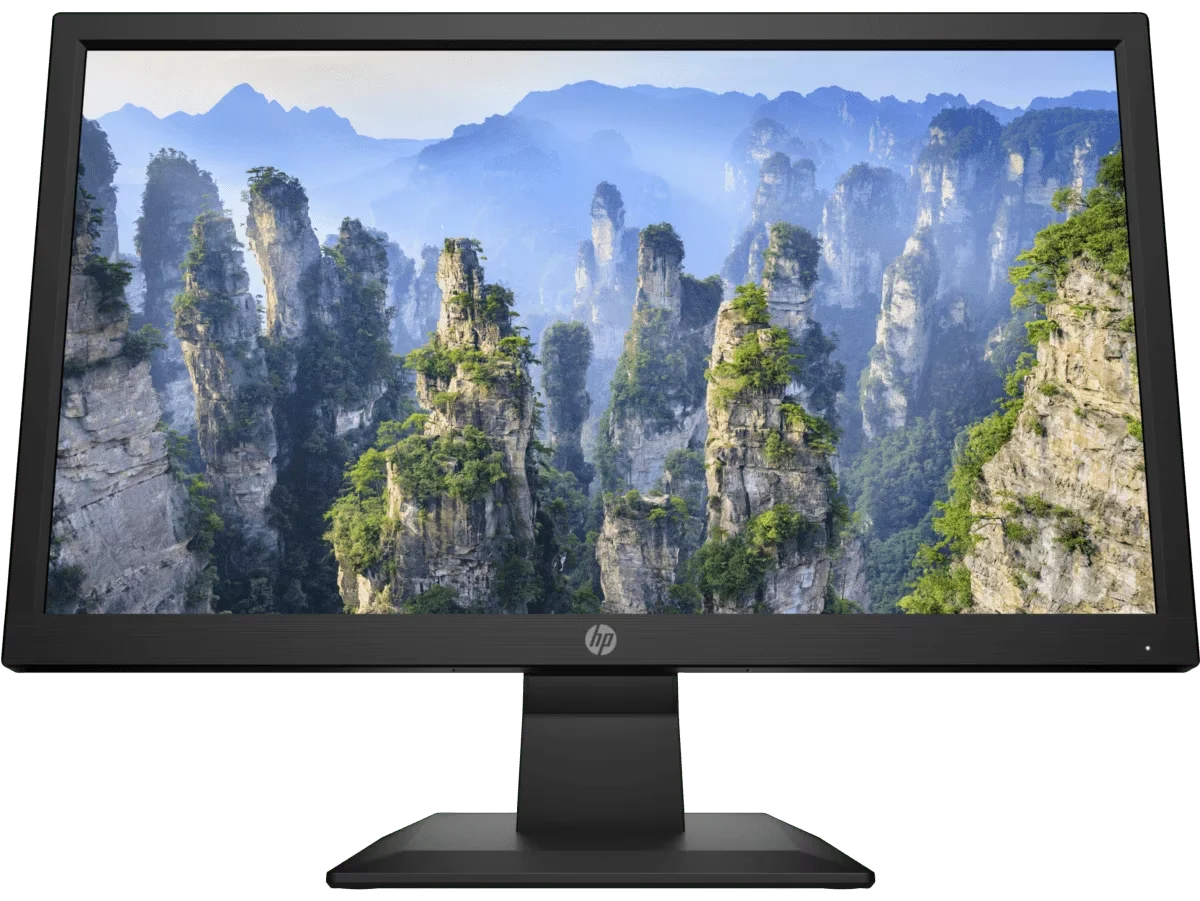 HP V20 49.53 cm (19.5) HD+ Monitor