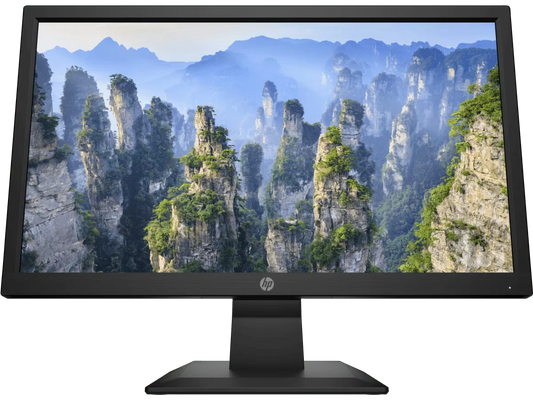 HP V20 49.53 cm (19.5) HD+ Monitor
