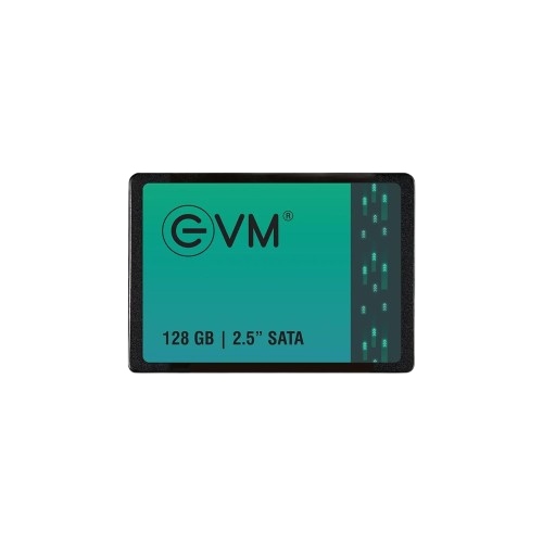 EVM 128GB Internal SSD (EVM25/128GB)