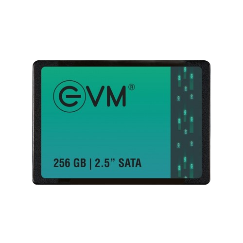 EVM 256GB SATA SSD - EVM25-256GB