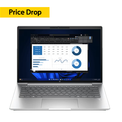 HP ProBook 440 35.6 cm (14) G10 Business Laptop Silver