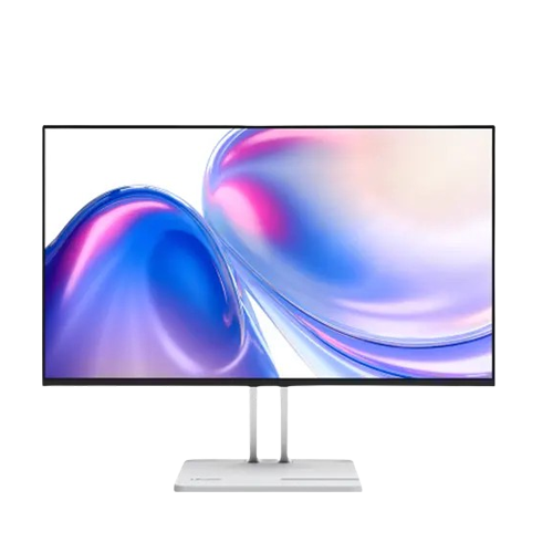 Lenovo L24-4C 60.45cms (23.8) Monitor