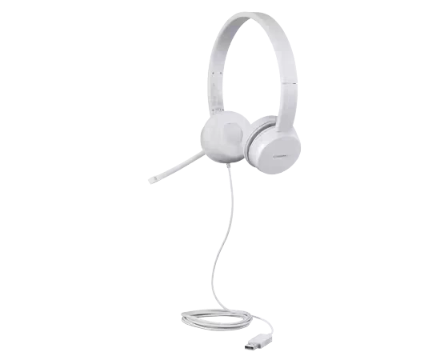 Lenovo 110 Stereo USB Headset
