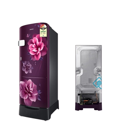 Samsung 223 L, 3 Star, Digital Inverter, Direct-Cool Single Door Refrigerator (RR24C2Z23CR/NL, Red, Camellia Purple, Base Stand Drawer, 2024 Model)